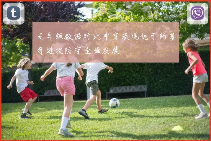 五年级数据对比申京表现优于约基奇进攻防守全面发展