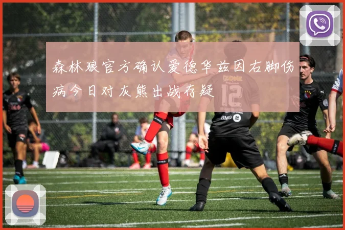 森林狼官方确认爱德华兹因右脚伤病今日对灰熊出战存疑