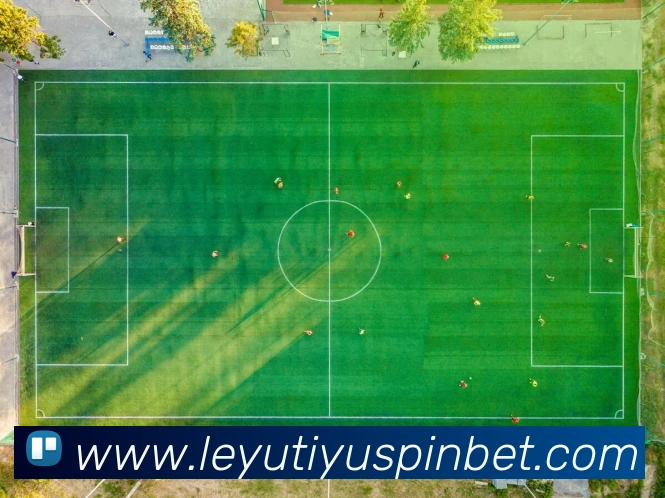 乐鱼体育发展历程